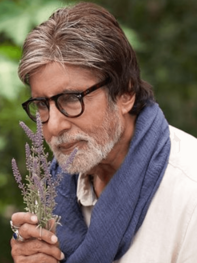 अमिताभ बच्चन ने आखिर 14.5 करोड़ का प्लॉट अयोध्या में क्यों लिया ?